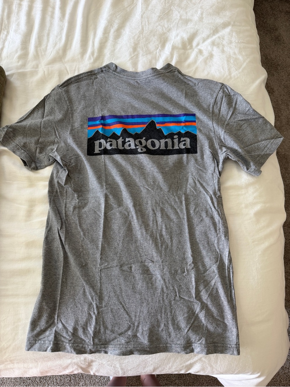 Patagonia Men's Gray Logo T-Shirt